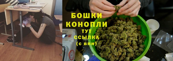 МДПВ Михайлов