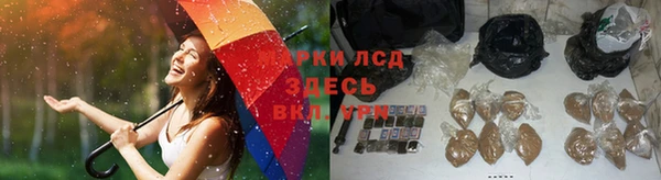 МДПВ Михайлов