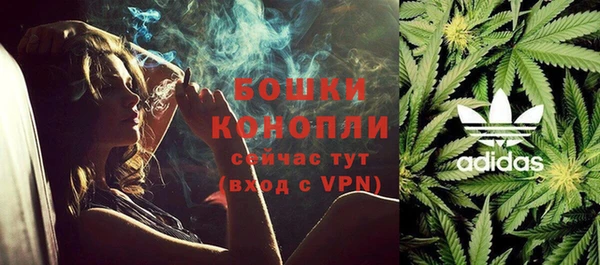 МДПВ Михайлов