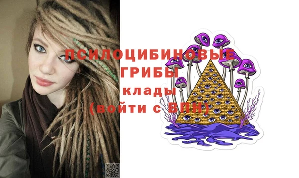 МДПВ Михайловск
