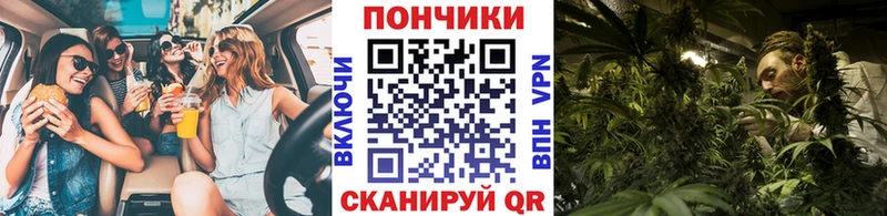 Каннабис конопля  Купить  Щёлкино 